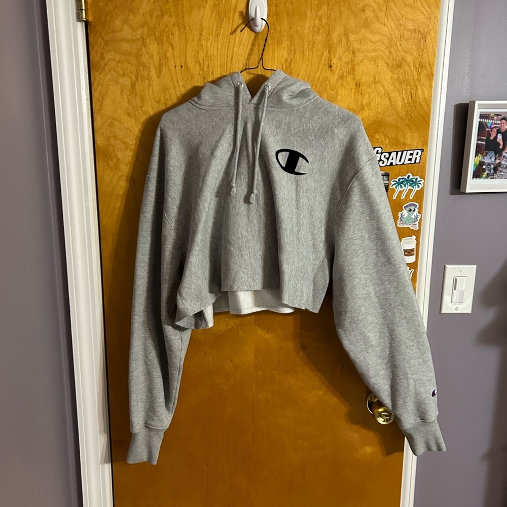 Grey champion cropped hoodie